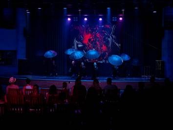 ANİMASYON, AKŞAM ŞOVLARI VE CANLI PERFORMANSLAR